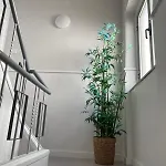 Apartamento Lugar Dos Avós Nazaré
